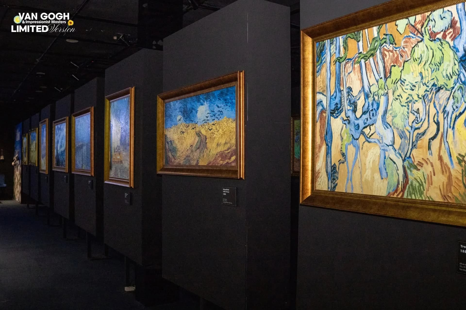 Triển Lãm Van Gogh & Impressionist Master Art Lighting 3