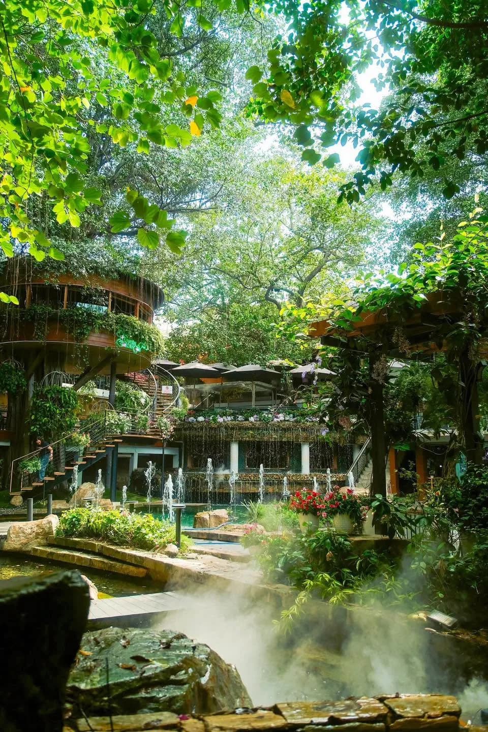 DU MIÊN Garden Coffee